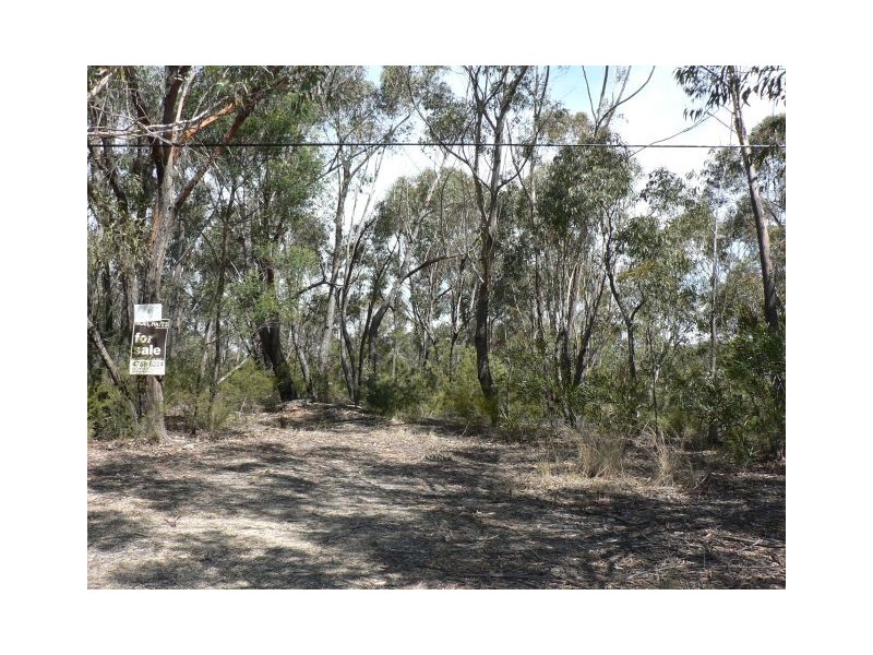 59 Albert Road, Bullaburra NSW 2784