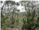 59 Albert Road, Bullaburra NSW 2784