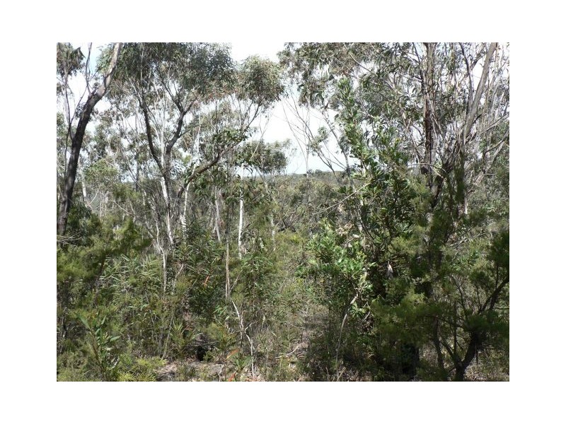 59 Albert Road, Bullaburra NSW 2784