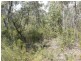 59 Albert Road, Bullaburra NSW 2784
