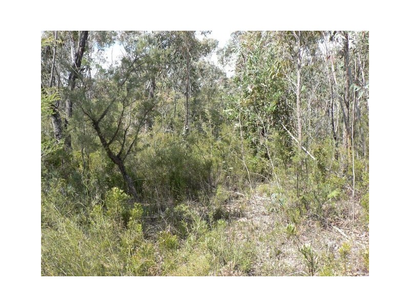 59 Albert Road, Bullaburra NSW 2784