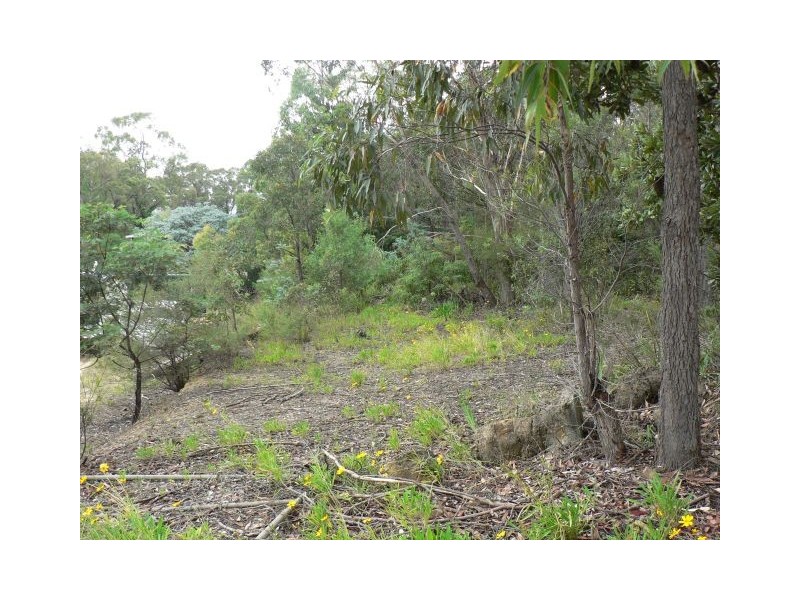 11 Flinders, Lawson NSW 2783