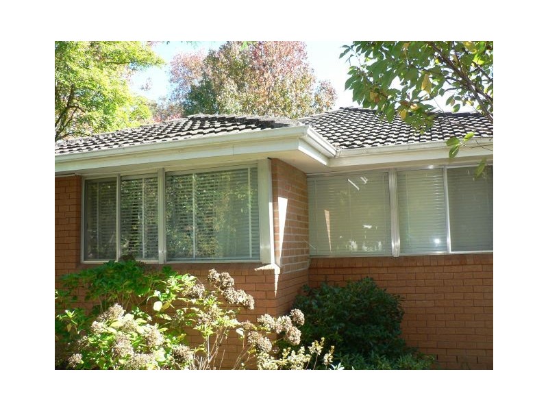 14 Hazel, Hazelbrook NSW 2779