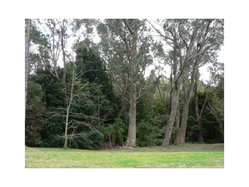 37-39 Luchetti Avenue, Hazelbrook NSW 2779