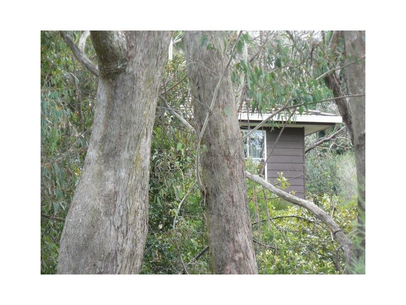 37-39 Luchetti Avenue, Hazelbrook NSW 2779