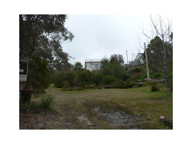 25 Taylor Road, Woodford NSW 2778