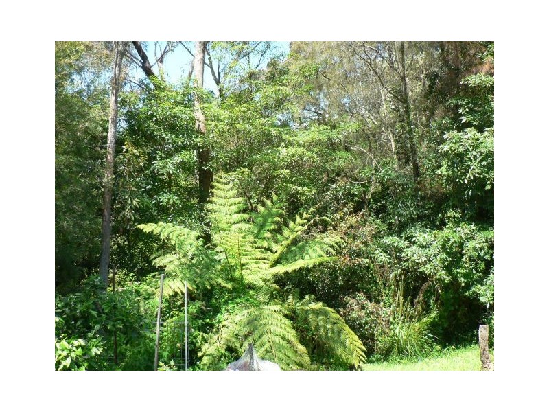 20 Hall Parade, Hazelbrook NSW 2779