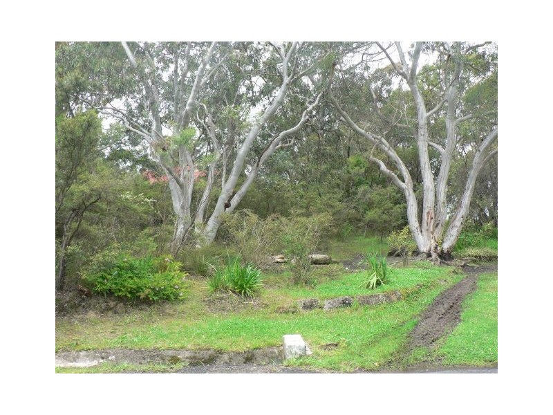 46 Bedford Road, Woodford NSW 2778