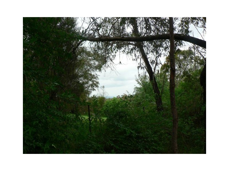 46 Bedford Road, Woodford NSW 2778