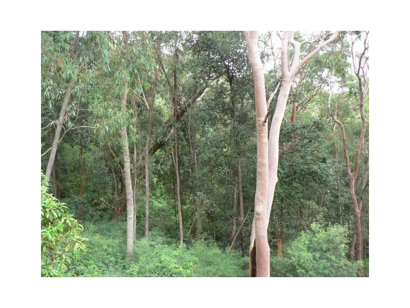 16 Martin Place, Linden NSW 2778