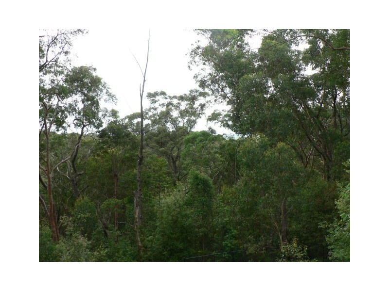 16 Martin Place, Linden NSW 2778