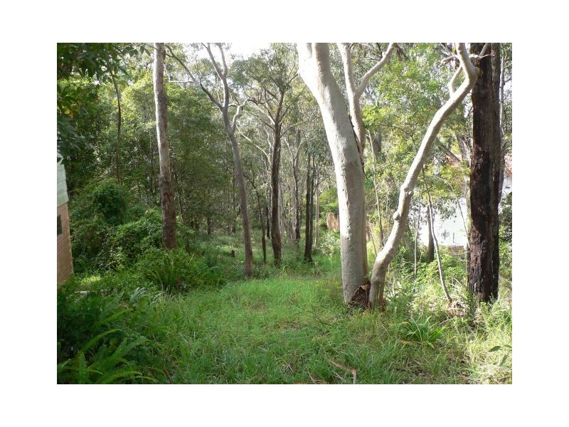 19 Alexander Avenue, Hazelbrook NSW 2779