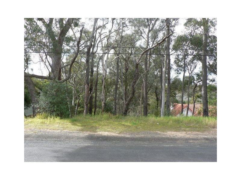 19 Alexander Avenue, Hazelbrook NSW 2779