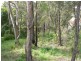 19 Alexander Avenue, Hazelbrook NSW 2779