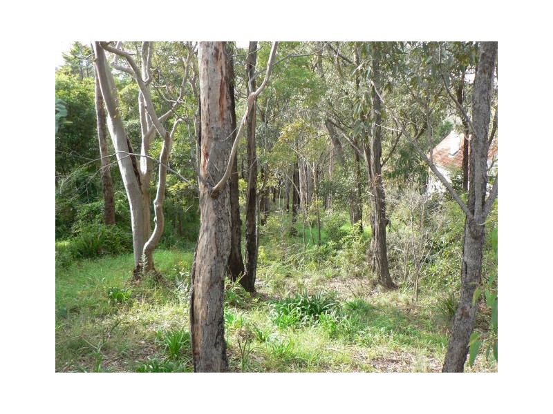 19 Alexander Avenue, Hazelbrook NSW 2779