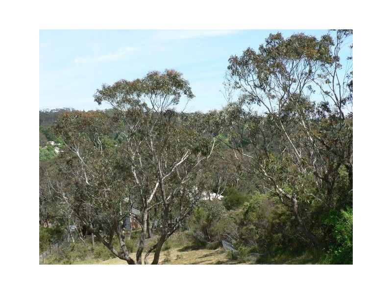 45 Leura Mall, Leura NSW 2780