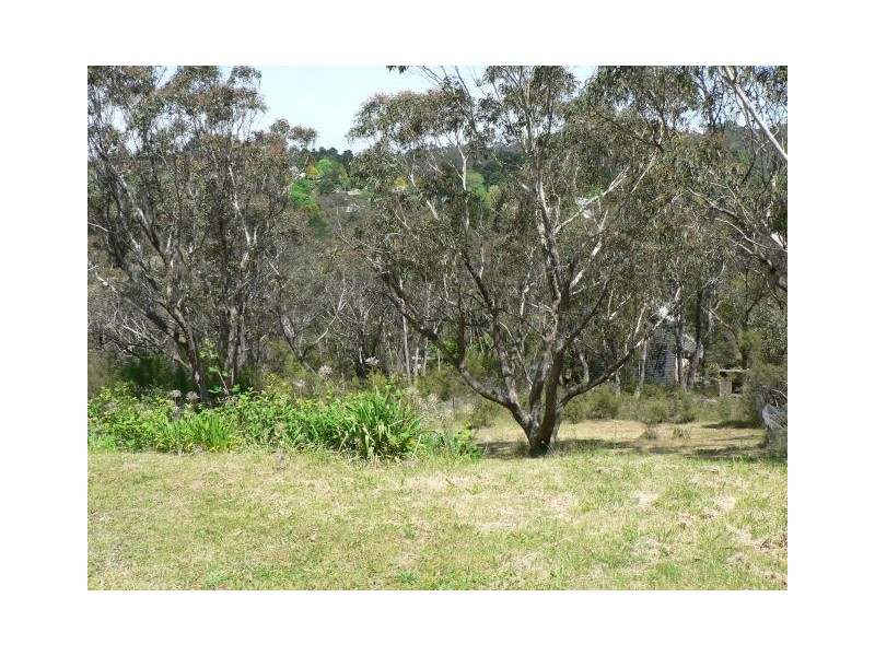 45 Leura Mall, Leura NSW 2780