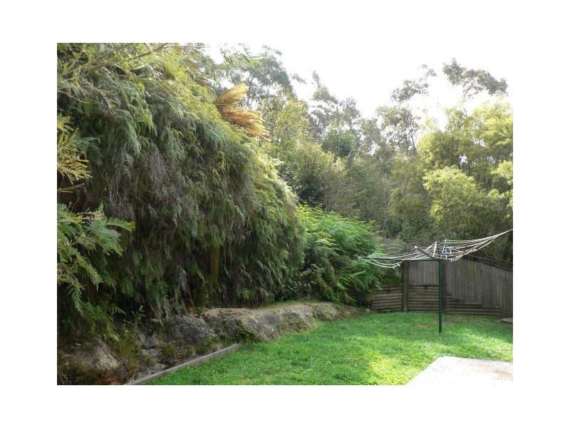 Hazelbrook NSW 2779