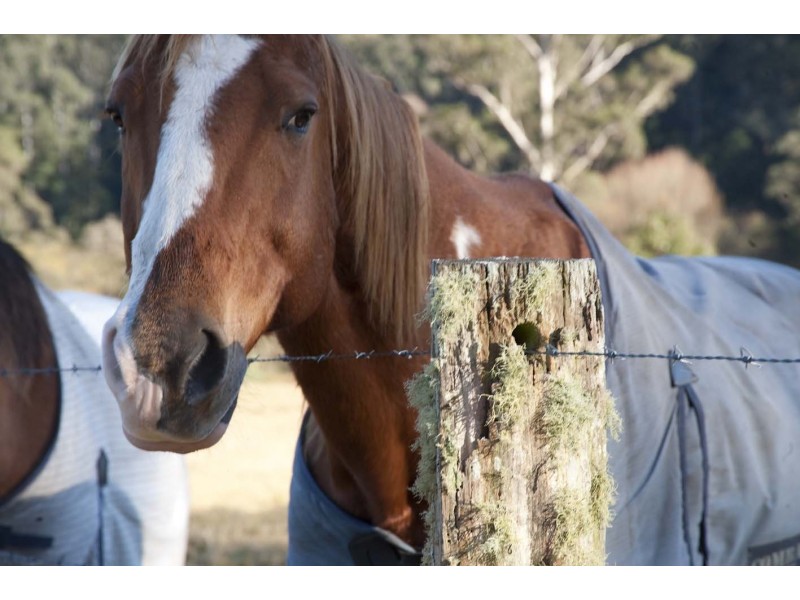 Yarramalong NSW 2259
