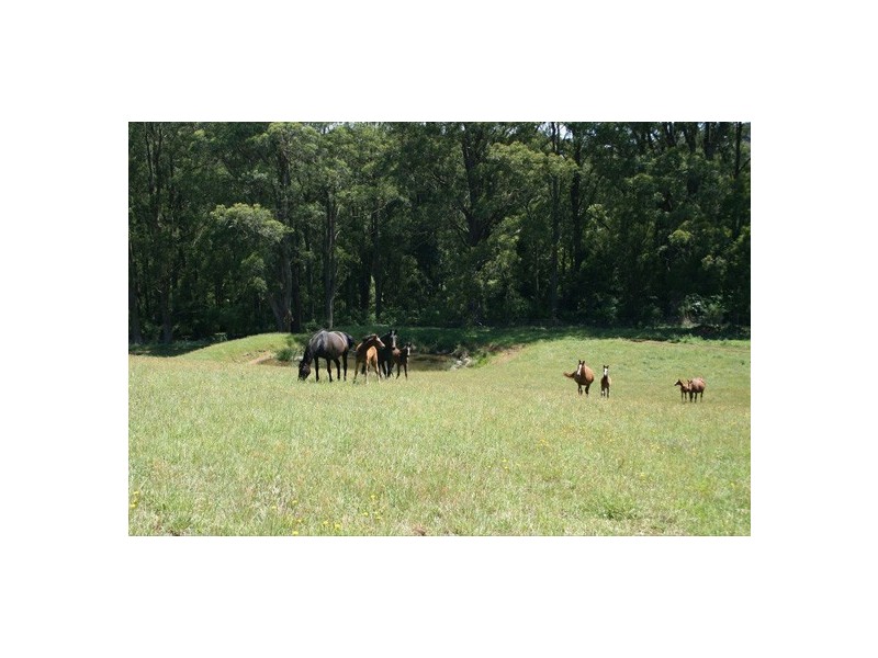 East Kangaloon NSW 2576