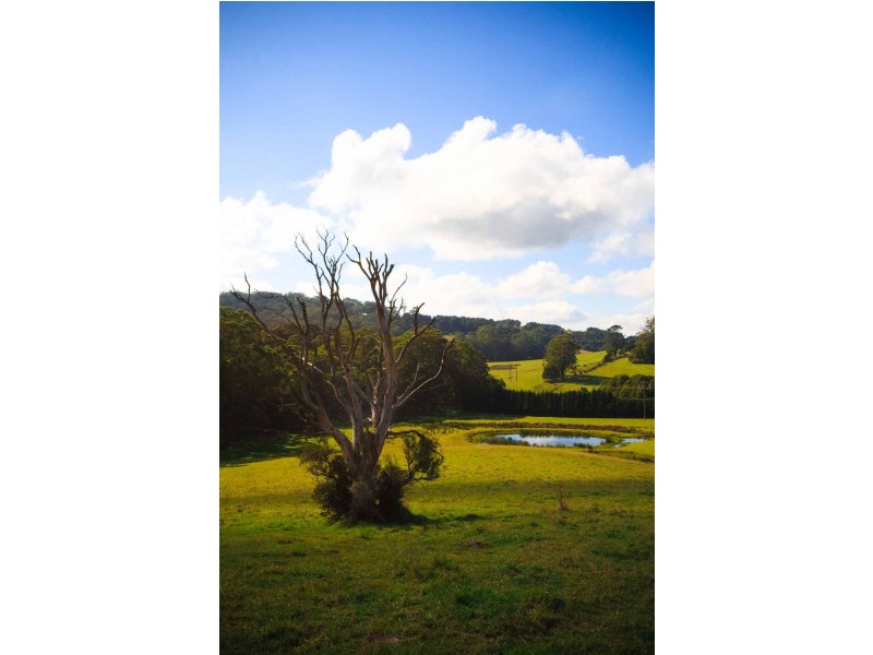 East Kangaloon NSW 2576