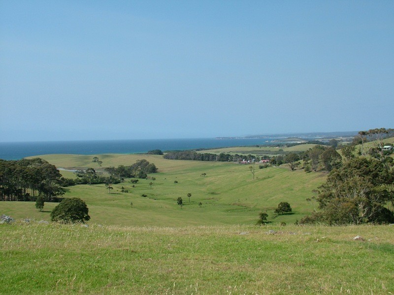 98 Haxstead Road, Tilba Tilba NSW 2546