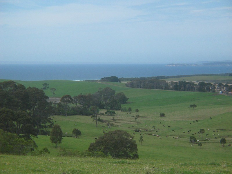 98 Haxstead Road, Tilba Tilba NSW 2546