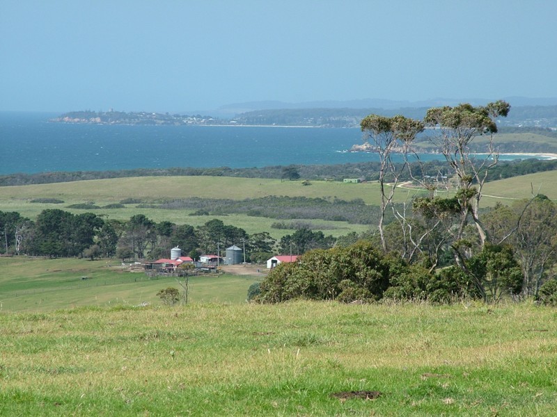 98 Haxstead Road, Tilba Tilba NSW 2546