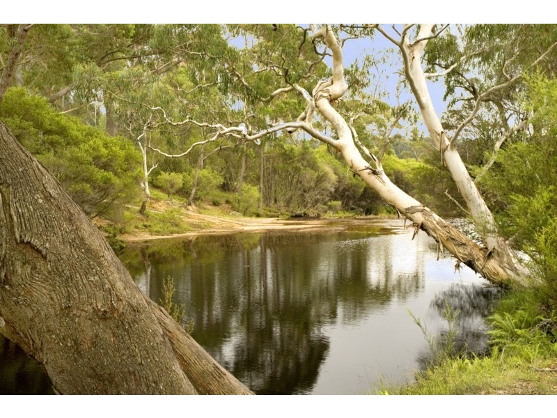 295 Cloonty road, Carrington Falls NSW 2577