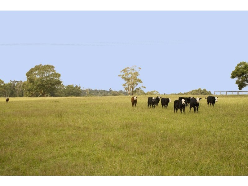 295 Cloonty road, Carrington Falls NSW 2577