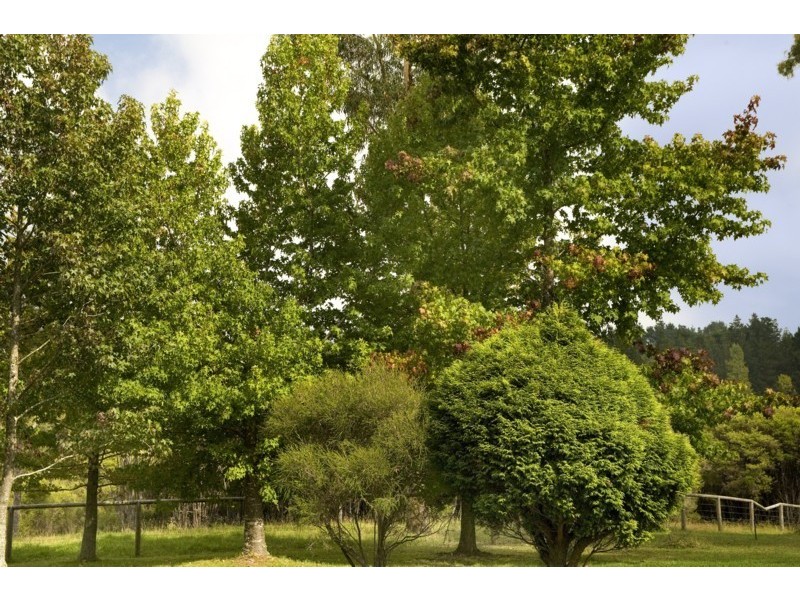 295 Cloonty road, Carrington Falls NSW 2577