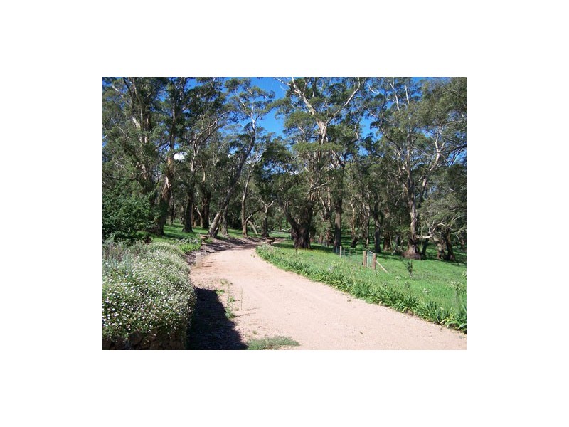 351 Centennial Road, Bowral NSW 2576