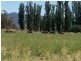439 Little River Road, Tumut NSW 2720