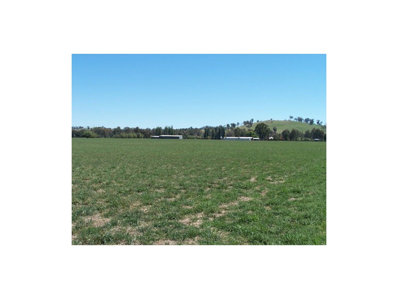 439 Little River Road, Tumut NSW 2720