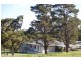 65 Grahams Road, Meroo Meadow NSW 2540