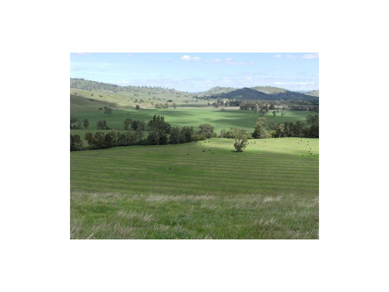 1910 Darbalara Road, Gundagai NSW 2722