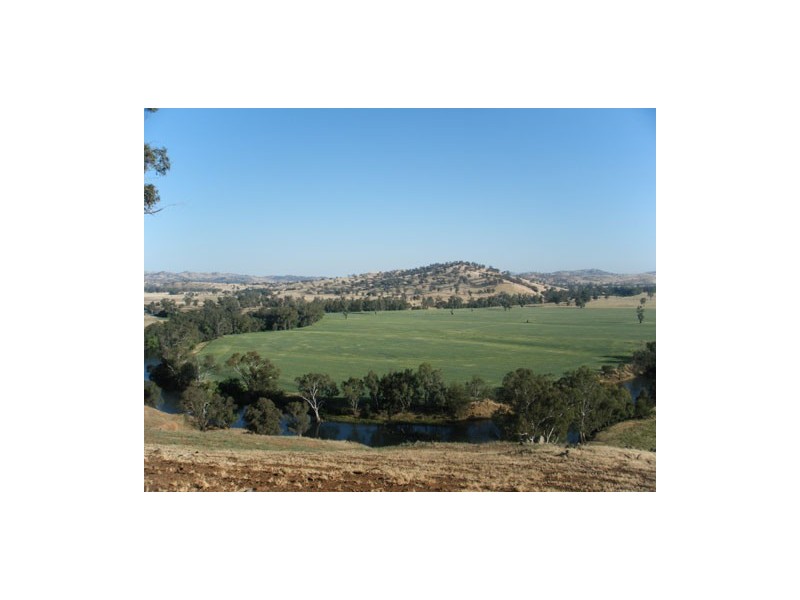 1910 Darbalara Road, Gundagai NSW 2722