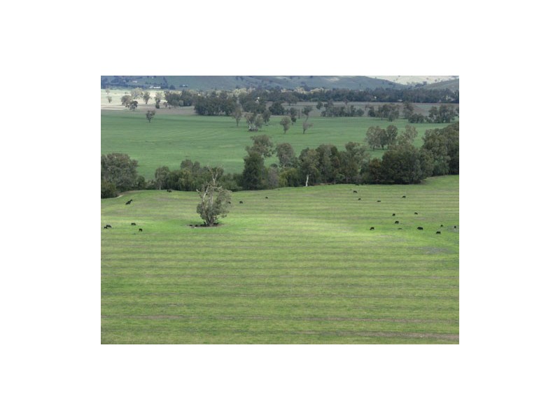 1910 Darbalara Road, Gundagai NSW 2722