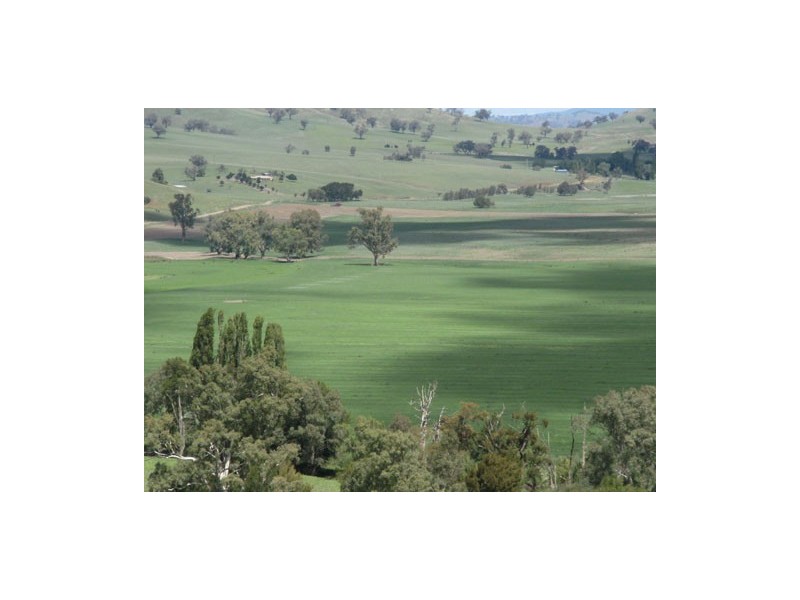 1910 Darbalara Road, Gundagai NSW 2722
