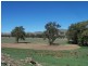 1910 Darbalara Road, Gundagai NSW 2722