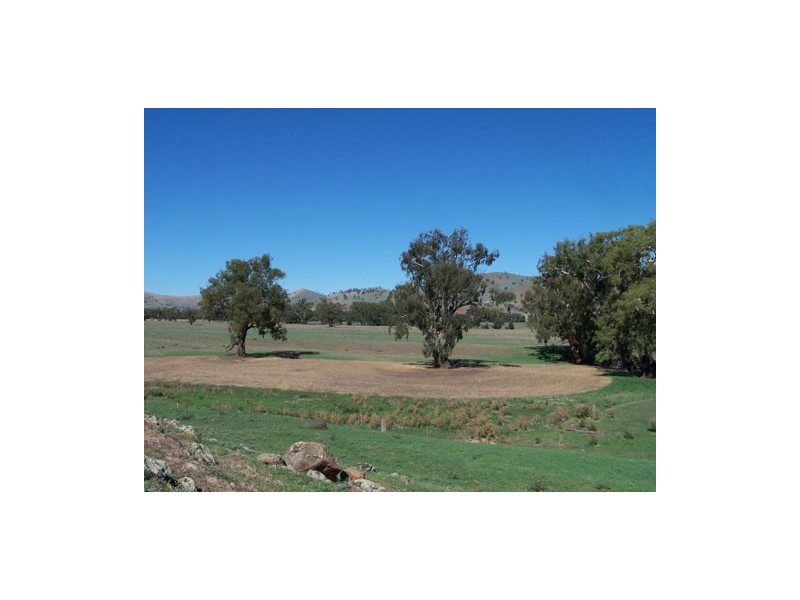 1910 Darbalara Road, Gundagai NSW 2722