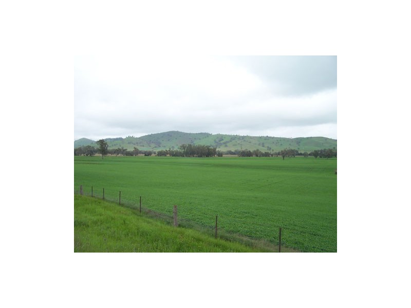 1910 Darbalara Road, Gundagai NSW 2722