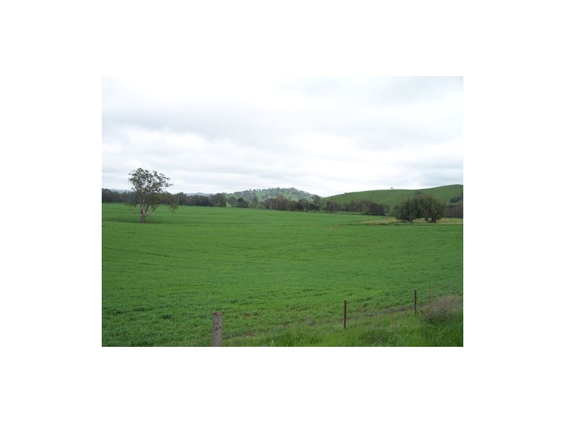 1910 Darbalara Road, Gundagai NSW 2722