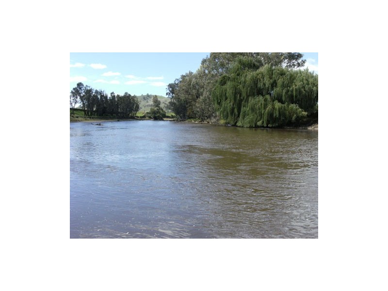 1910 Darbalara Road, Gundagai NSW 2722