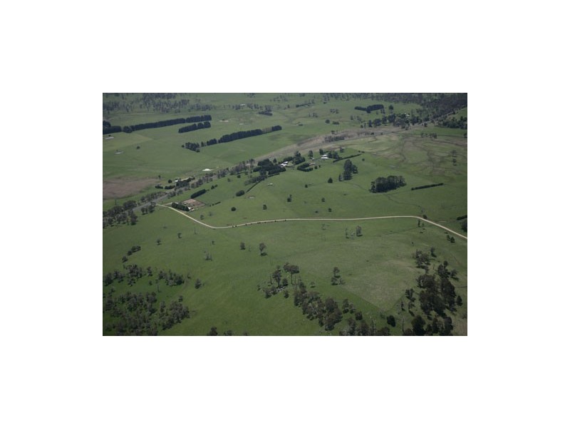 7986 Waterfall Way, Ebor NSW 2453