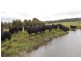 7986 Waterfall Way, Ebor NSW 2453