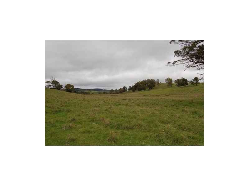 7986 Waterfall Way, Ebor NSW 2453