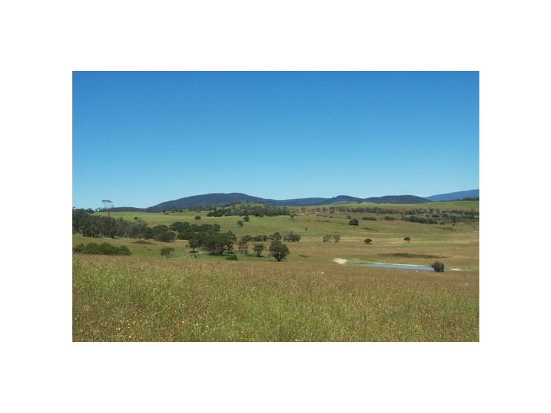 “Harts Road” 120 Harts Road, Braidwood NSW 2622