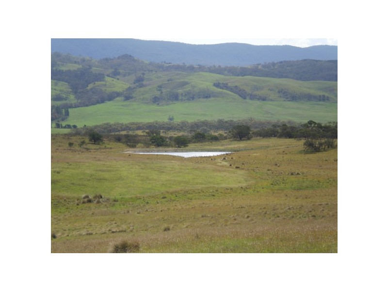 “Harts Road” 120 Harts Road, Braidwood NSW 2622