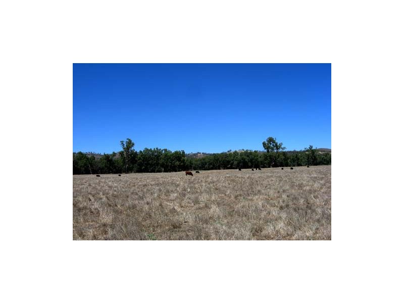 100 River Road, Wagga Wagga NSW 2650